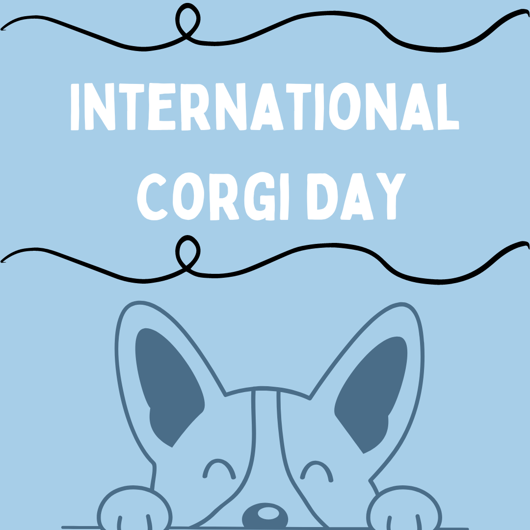 International 2024 corgi day