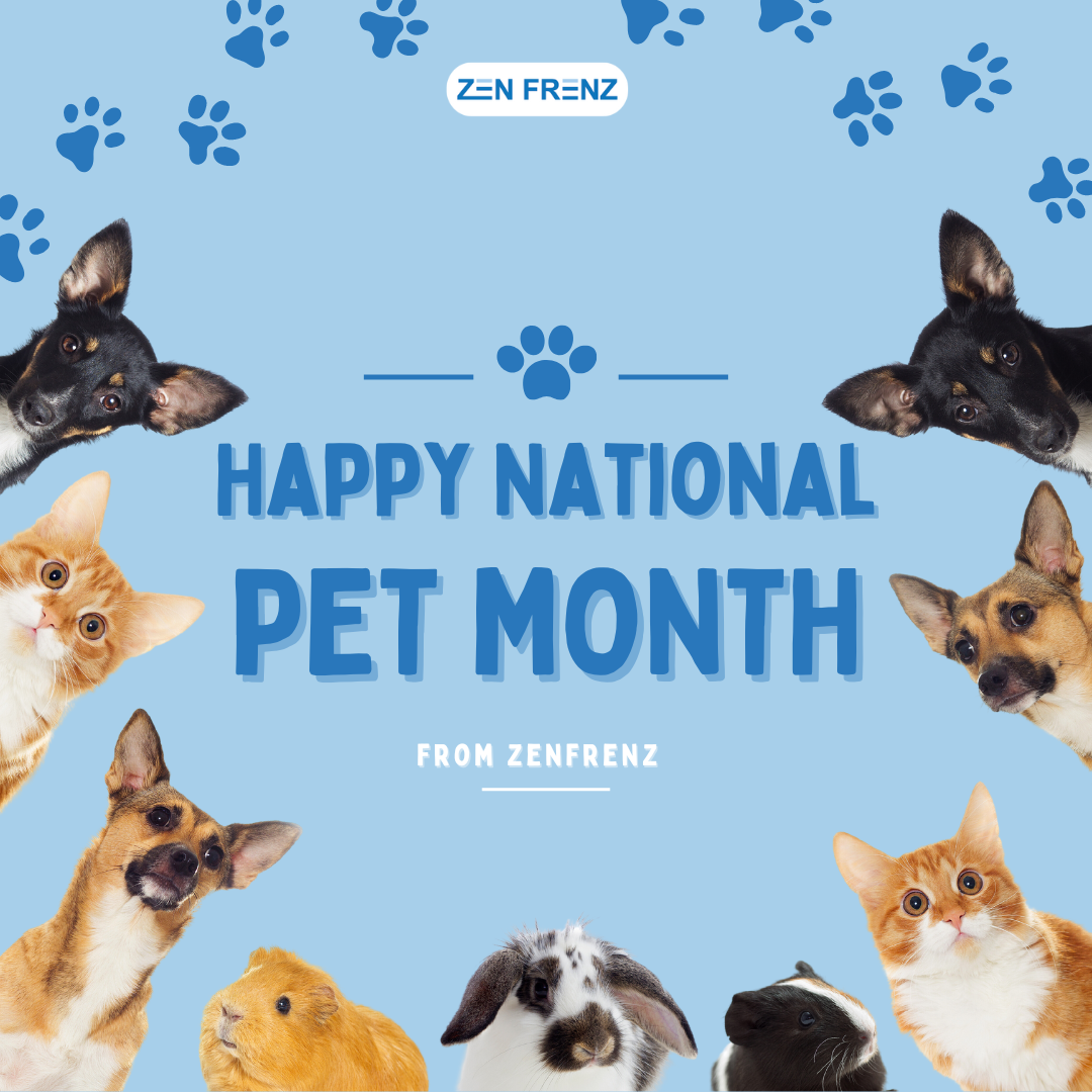 National Pet Month What Is It and How Can I Celebrate? Zen Frenz