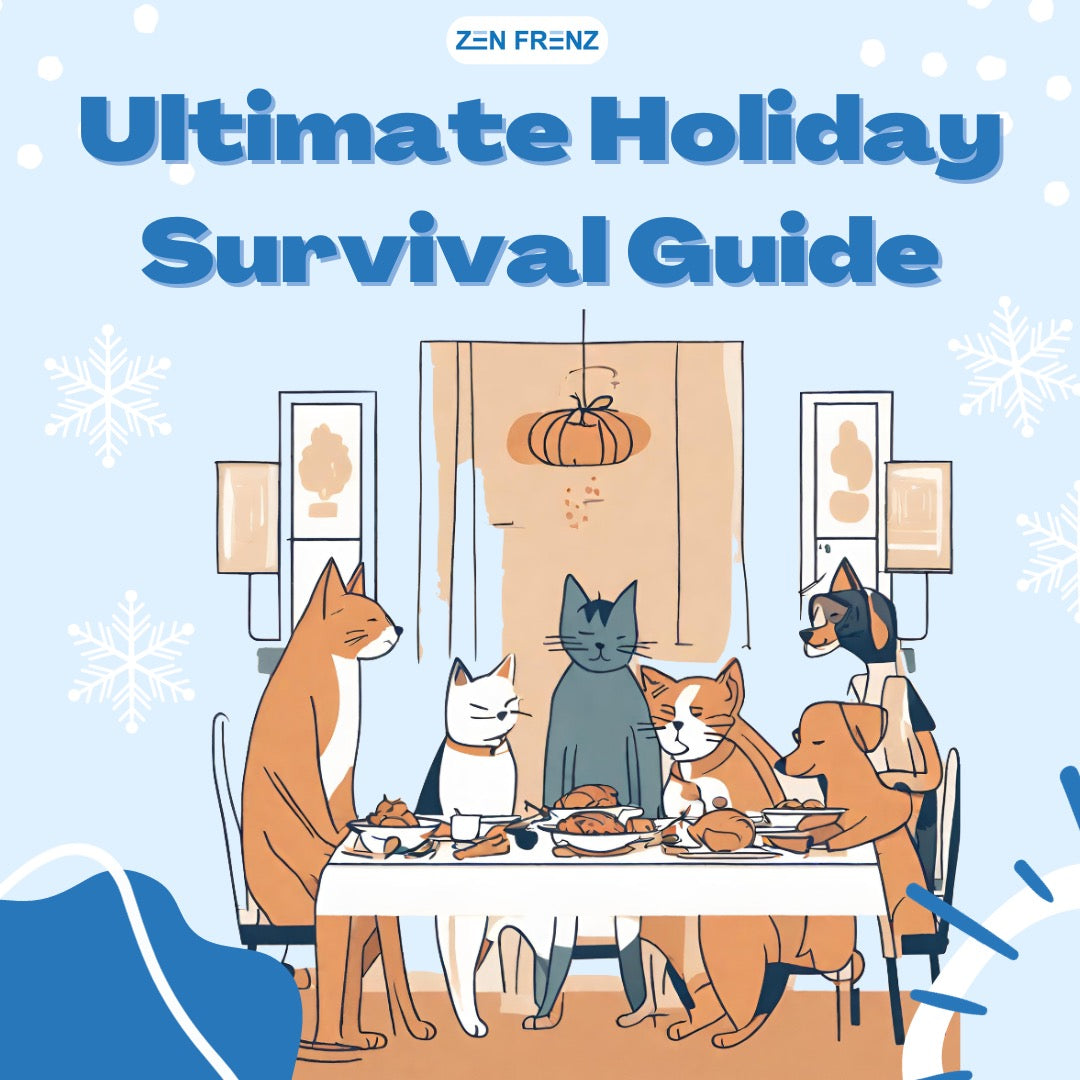 The Ultimate Holiday Survival Guide: Navigating the Festive Frenzy โ Zen Frenz