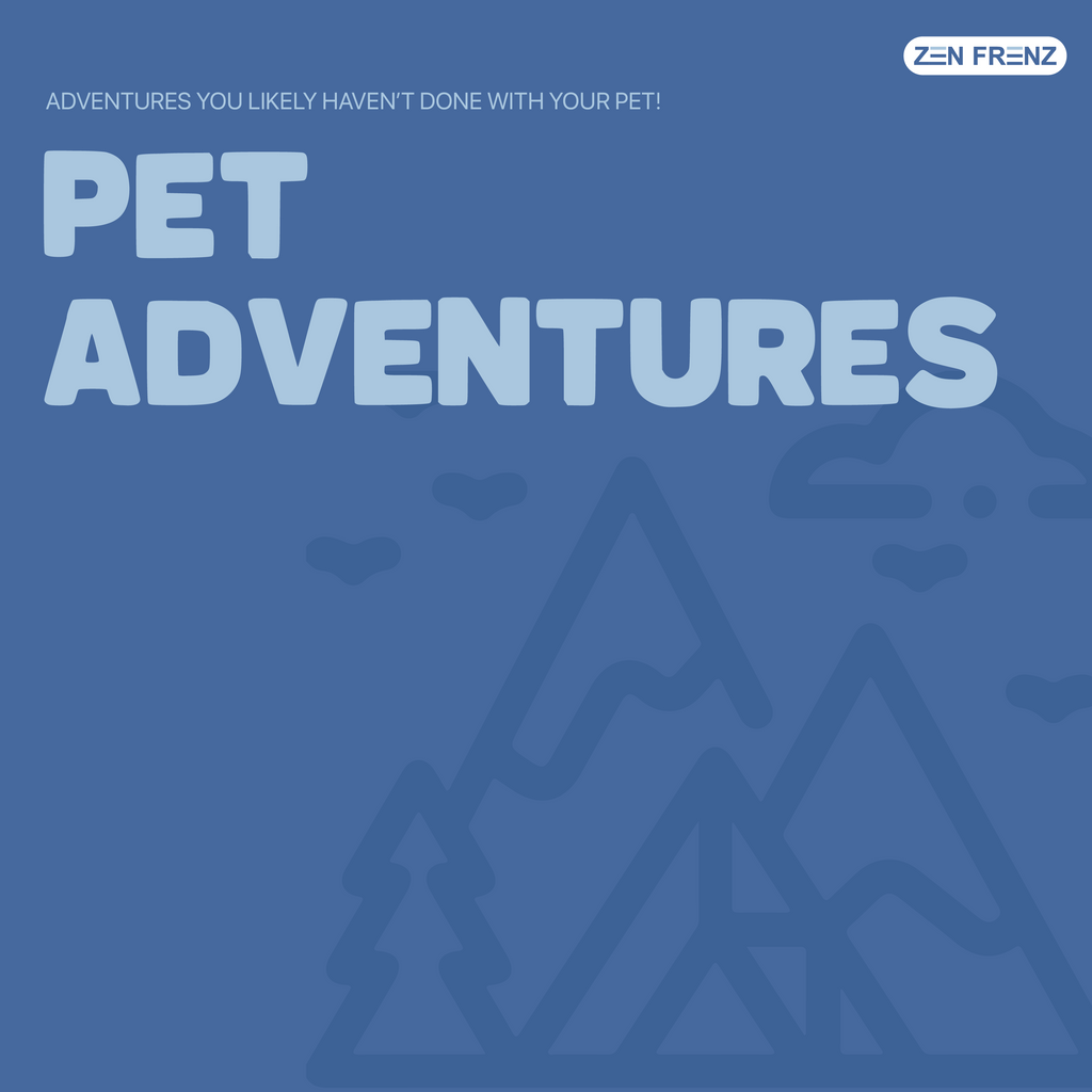 Experiences to Share with Your Pet!
