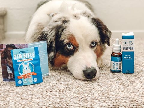 Pet Wellness Products to Pamper Your Pet With