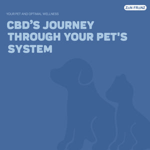 CBD’s Journey Through Your Pets’ System