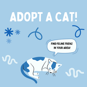Adopt a Cat Month - Show Love to Your Feline Frenz!