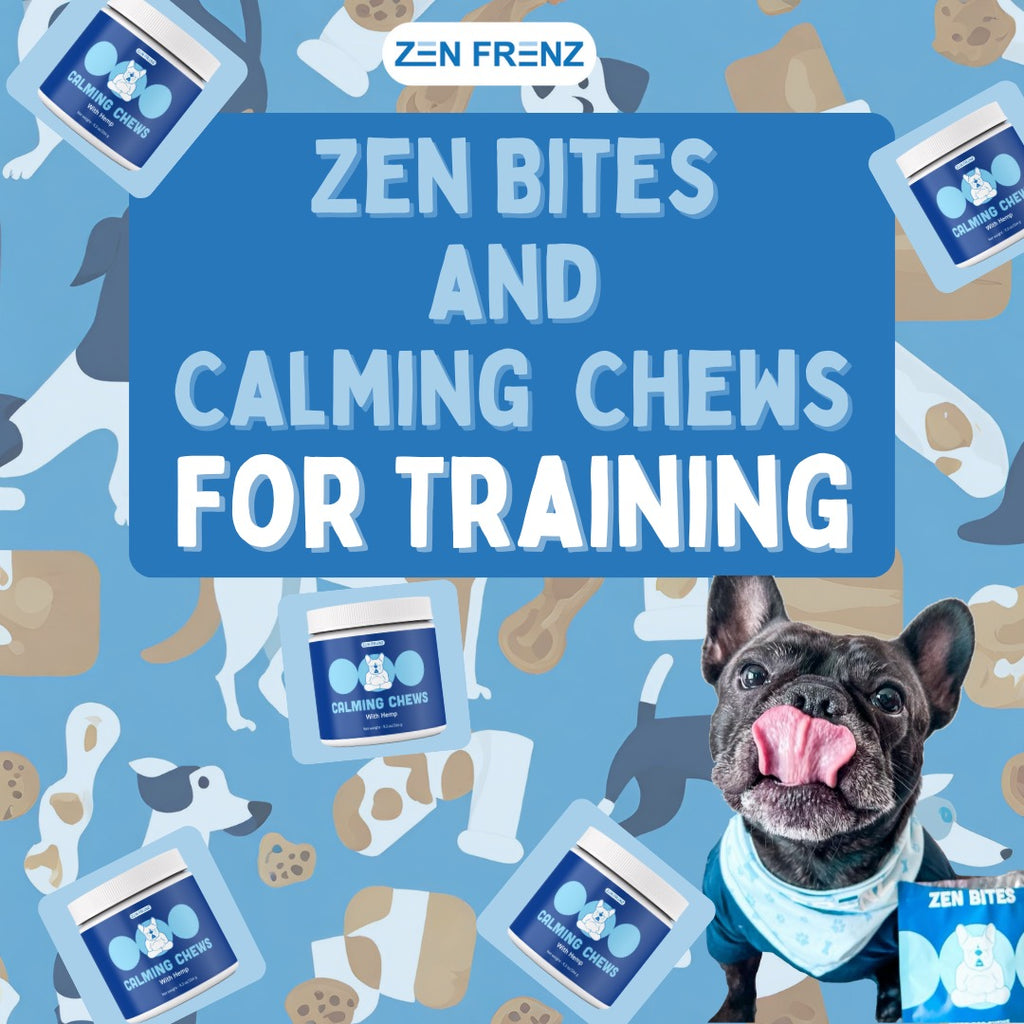 Zen Training for Holiday Pets – One Zen Bite at a Time!