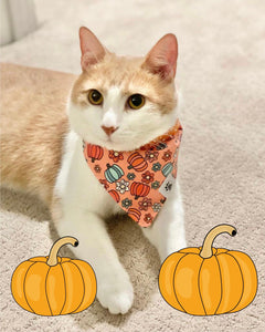 Five Easy DIY Pet Halloween Costumes