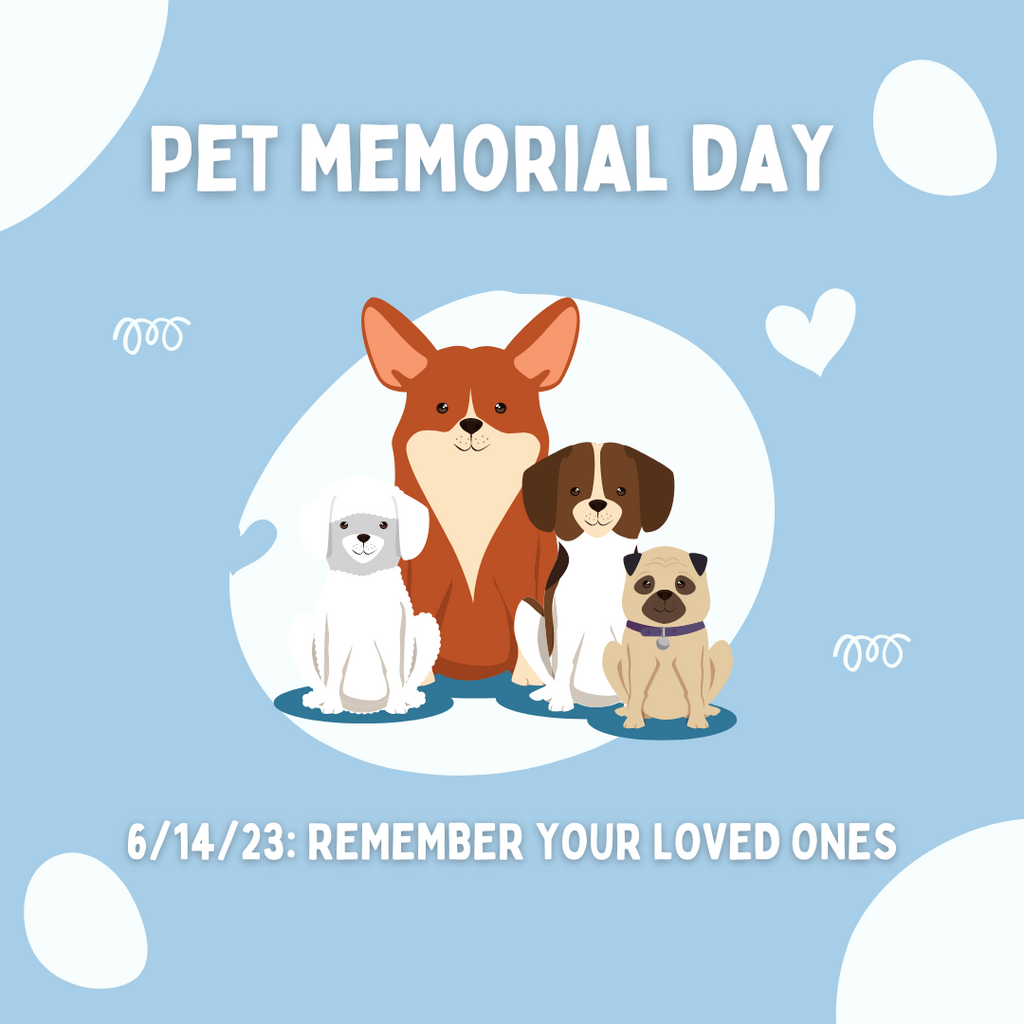 World Pet Memorial Day: Honoring the Unbreakable Bond