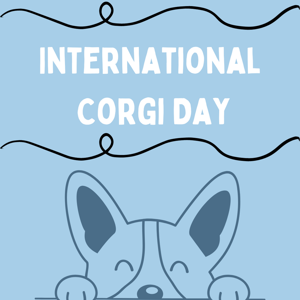 International Corgi Day: Embracing the Charm of our Beloved Frenz