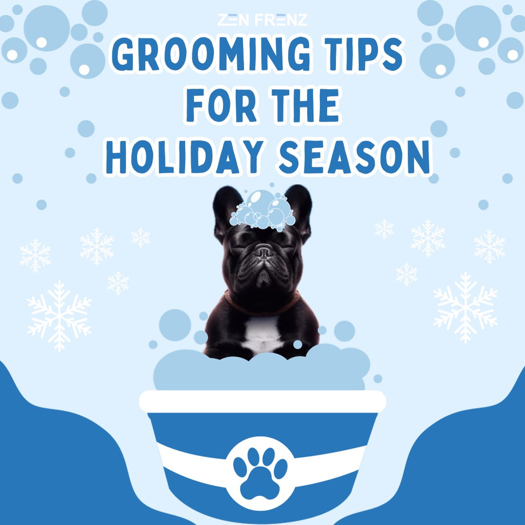 Paw-ty Ready: Zen Grooming Tips for Your Furry Frenz This Holiday Season!