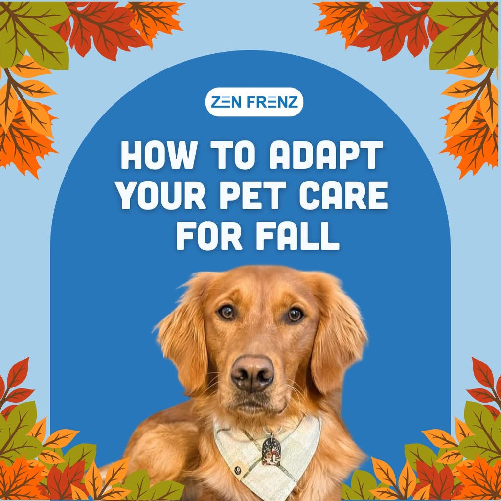 Autumn is Here: How to Adapt your Pet Care