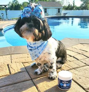 Hot Weather Safety Tips For Your Dog