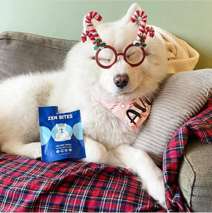 Dog Friendly Christmas Treats