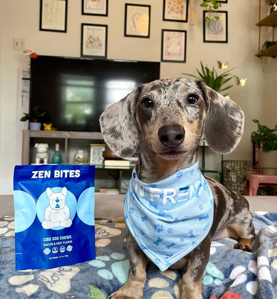 Pet CBD-The Future of Pet Wellness?