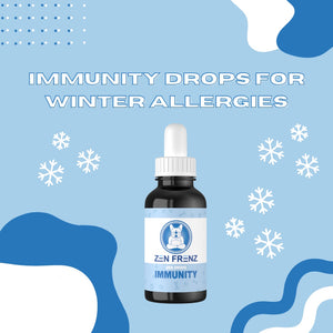 Winter Ally for Your Pet's Seasonal Allergies