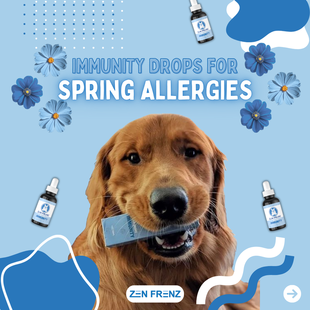 Spring into Wellness: Why Zen Frenz Products Are a Must for Your Pet This May