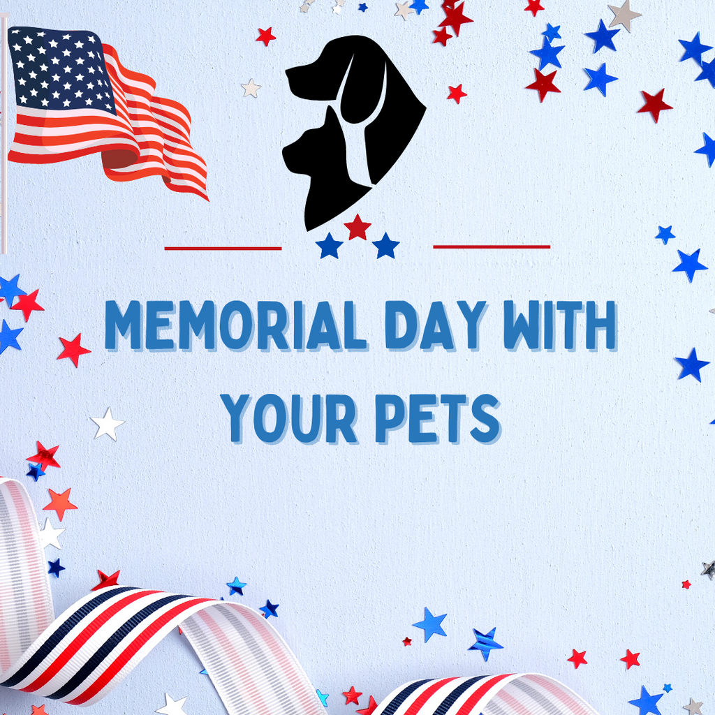 Memorial Day With Your Pets