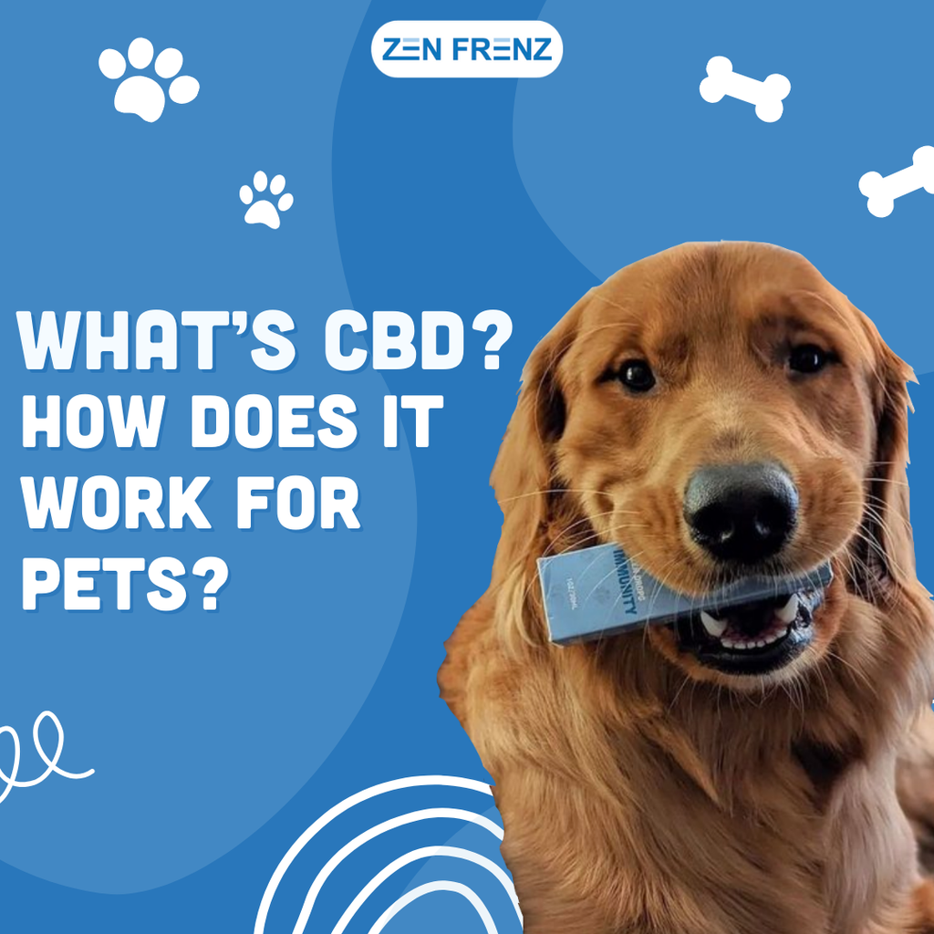 What is CBD and How Does It Work for Pets?