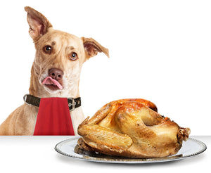 3 Recipes for Dogs from Leftover Christmas Dinner
