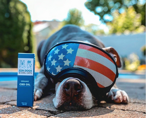 5 Pet Costumes for the Fourth of July