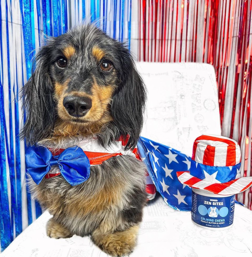 How to Safely Include Your Pets in Your Fourth of July Celebrations