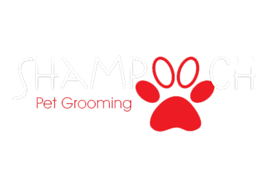 Store Spotlight: Shampooch Pet Styles in San Diego!