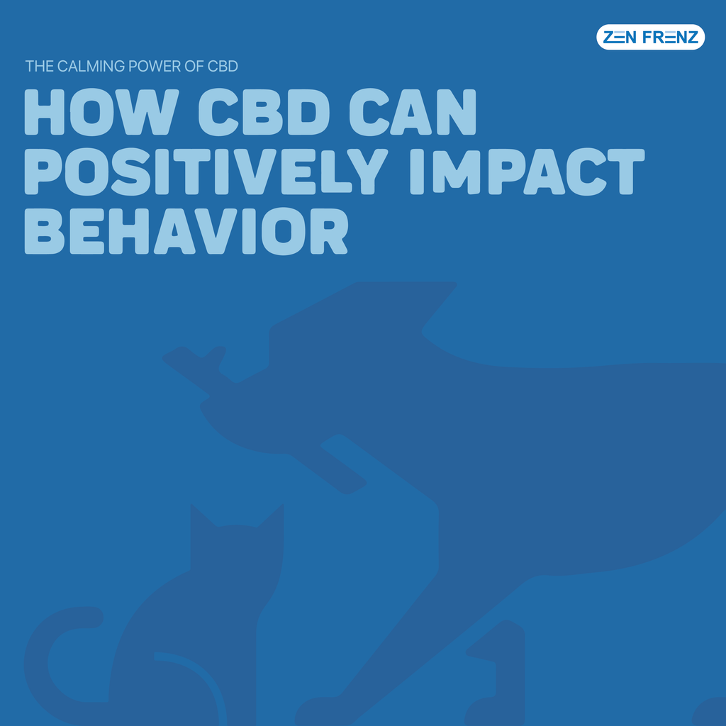 The Calming Power of CBD for Improved Behavior