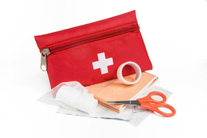 Don't Forget to Pack a First Aid Kit for Your Dog