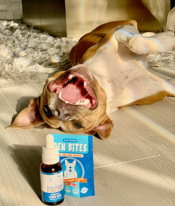 Fulfill Your Pup's Peanut Butter Dreams While Keeping Your Pup Healthy