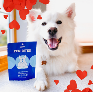 Pet Friendly Valentine's Treats